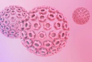 Ilustratie medicala reprezentativa pentru herpes genital